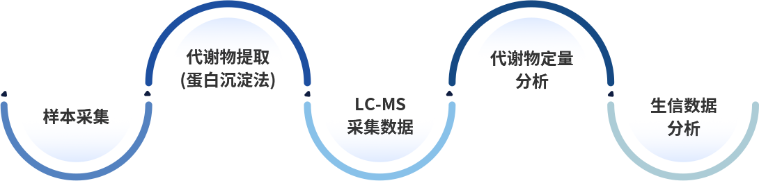 检测流程.png 检测流程.png