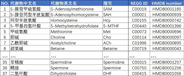 检测项目叶酸依赖的一碳代谢通路高通量靶标代谢组检测_2.jpg 检测项目叶酸依赖的一碳代谢通路高通量靶标代谢组检测_2.jpg