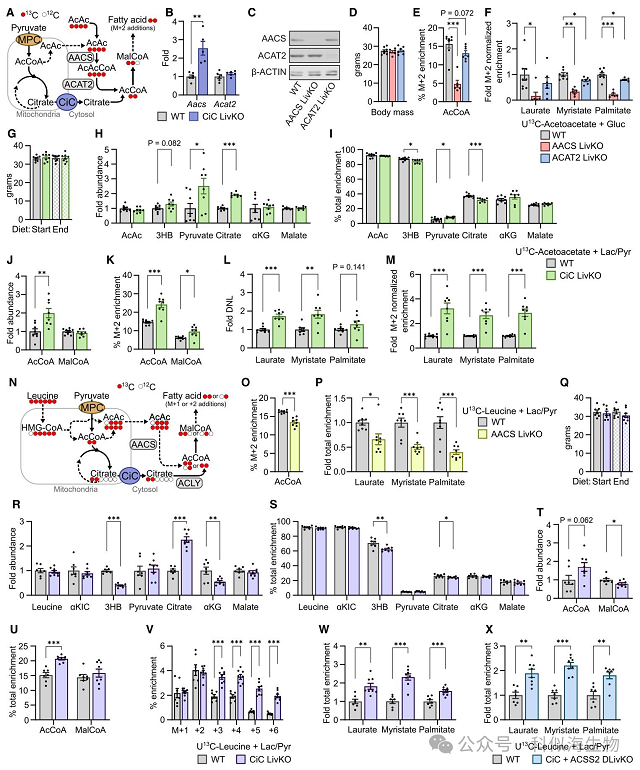 微信图片_2026-03-11_143915_765.png 微信图片_2026-03-11_143915_765.png