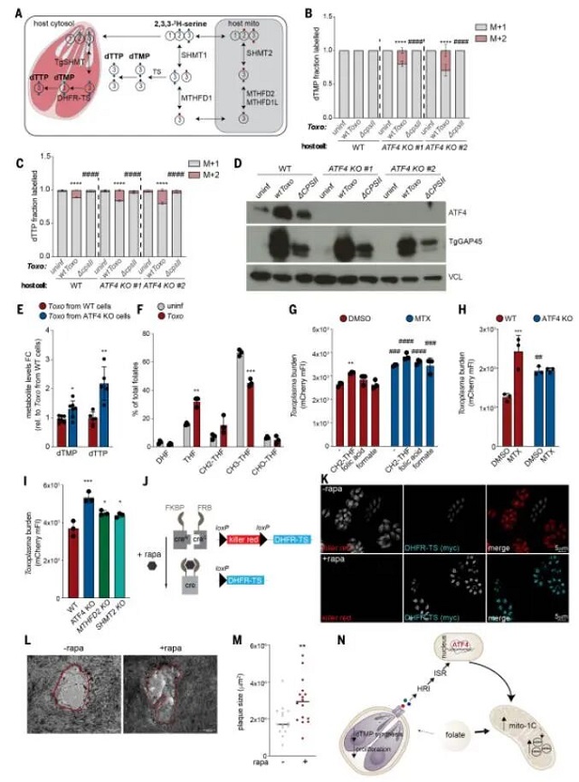 微信图片_2026-03-11_111652_930.jpg 微信图片_2026-03-11_111652_930.jpg