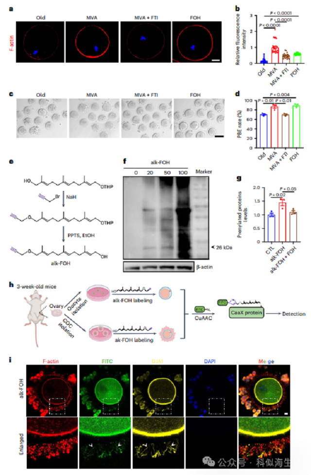 微信图片_2026-03-11_140736_500.png 微信图片_2026-03-11_140736_500.png