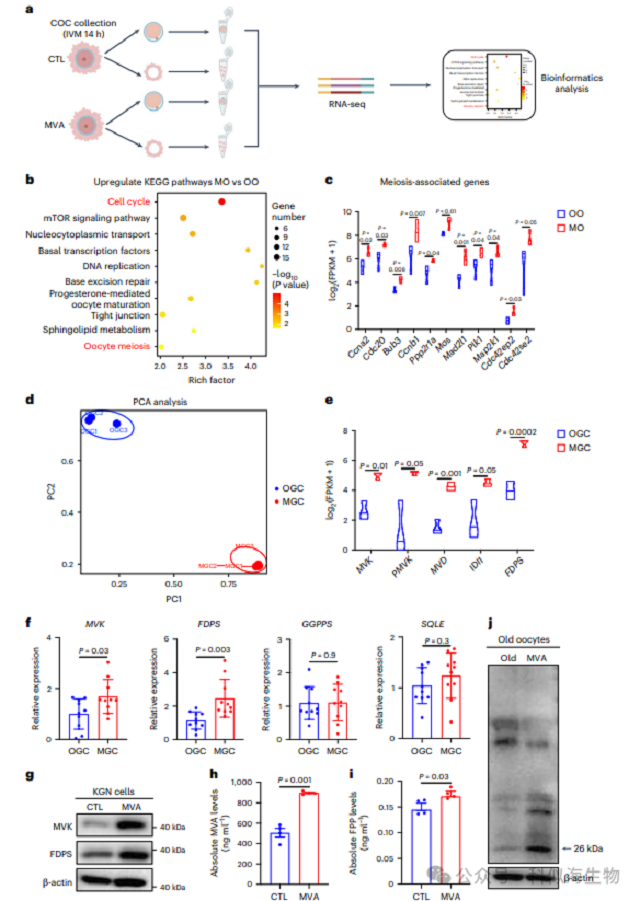 微信图片_2026-03-11_140701_317.png 微信图片_2026-03-11_140701_317.png