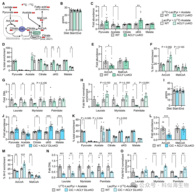 微信图片_2026-03-11_143807_381.png 微信图片_2026-03-11_143807_381.png