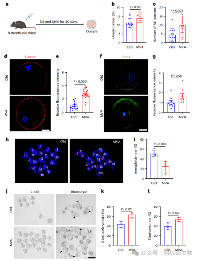 微信图片_2026-03-11_140628_709.png 微信图片_2026-03-11_140628_709.png