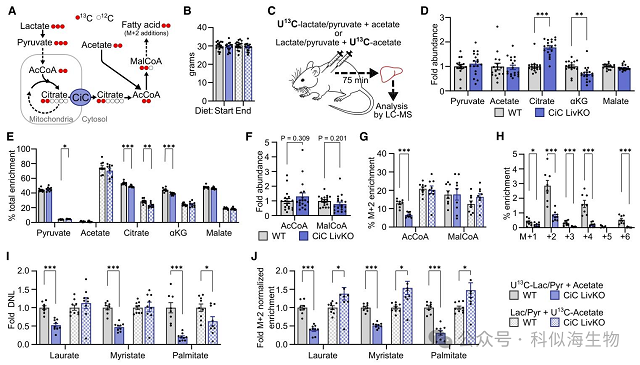 微信图片_2026-03-11_143635_253.png 微信图片_2026-03-11_143635_253.png