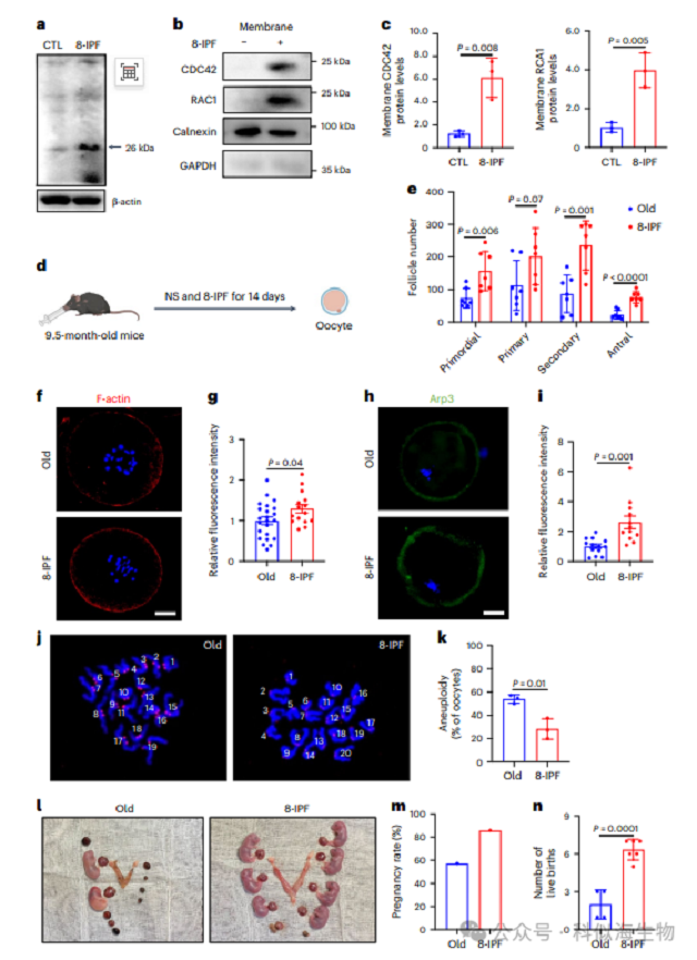 微信图片_2026-03-11_140808_805.png 微信图片_2026-03-11_140808_805.png