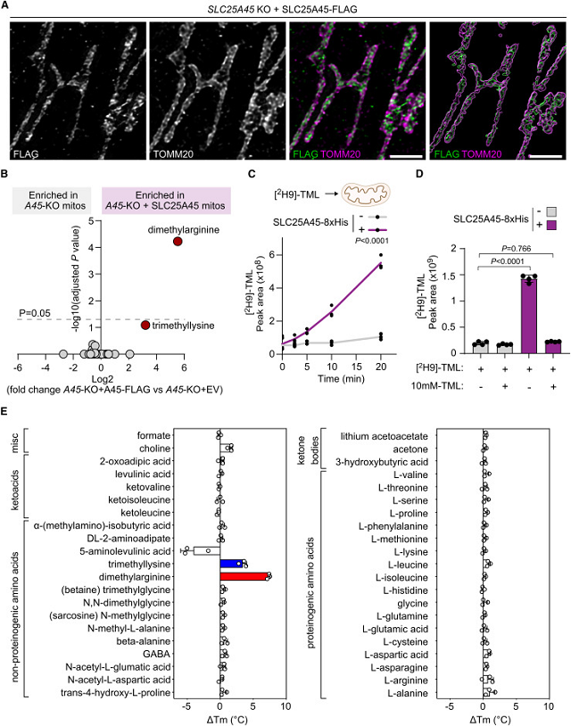 微信图片_2026-03-11_112734_762.png 微信图片_2026-03-11_112734_762.png