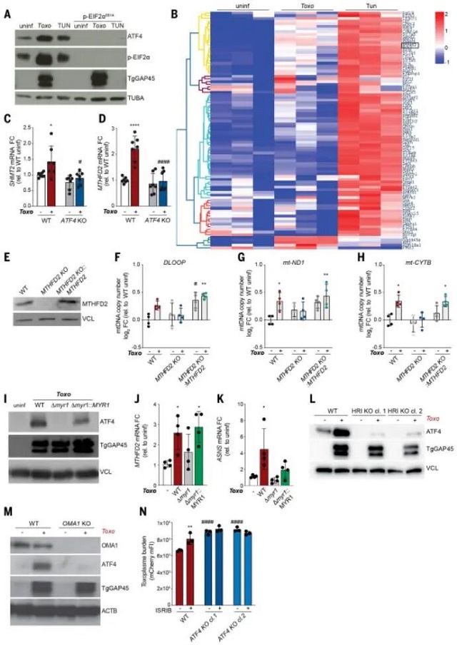 微信图片_2026-03-11_111558_994.jpg 微信图片_2026-03-11_111558_994.jpg