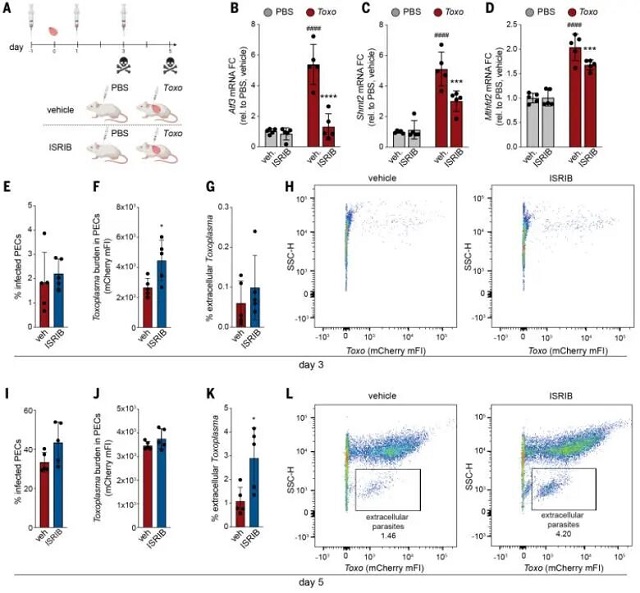微信图片_2026-03-11_111736_545.jpg 微信图片_2026-03-11_111736_545.jpg