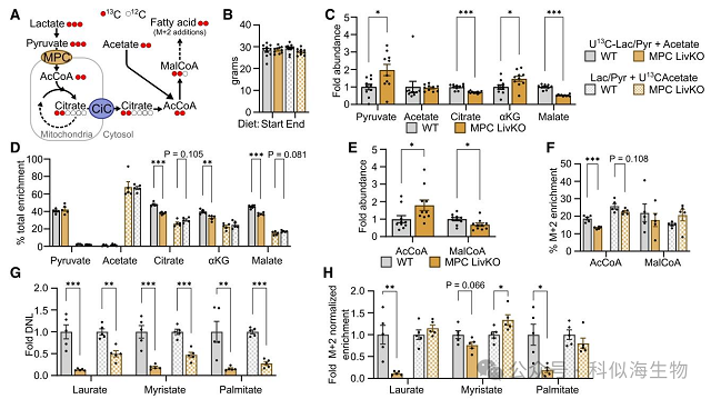 微信图片_2026-03-11_143839_901.png 微信图片_2026-03-11_143839_901.png