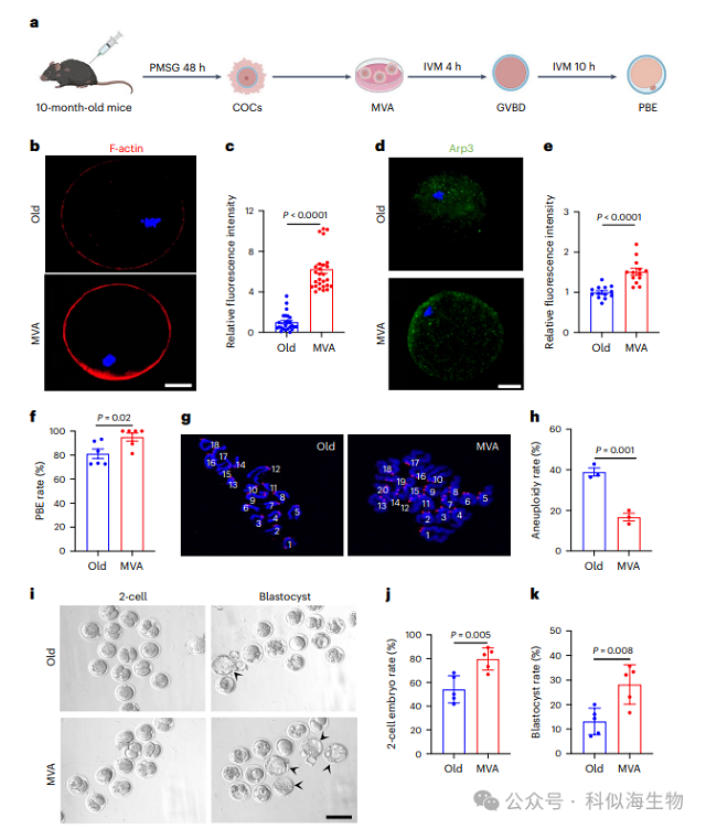 微信图片_2026-03-11_140550_124.png 微信图片_2026-03-11_140550_124.png