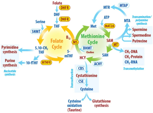 图片2.png.jpg 图片2.png.jpg