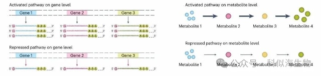 代谢研究总踩坑?科似海PITA检测系列解锁科研新方案!_7.jpg 代谢研究总踩坑?科似海PITA检测系列解锁科研新方案!_7.jpg
