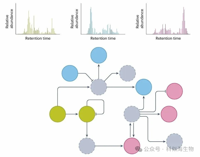 代谢研究总踩坑?科似海PITA检测系列解锁科研新方案!_3.jpg 代谢研究总踩坑?科似海PITA检测系列解锁科研新方案!_3.jpg