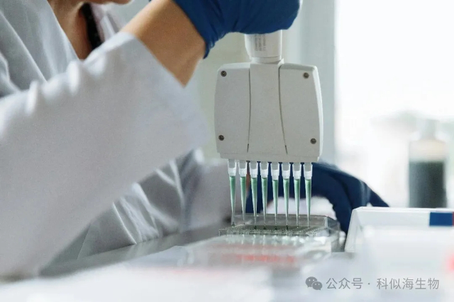 非靶向vs靶向代谢组学:揭秘代谢研究的“撒网捕鱼”与“精准钓鱼”_5.jpg 非靶向vs靶向代谢组学:揭秘代谢研究的“撒网捕鱼”与“精准钓鱼”_5.jpg