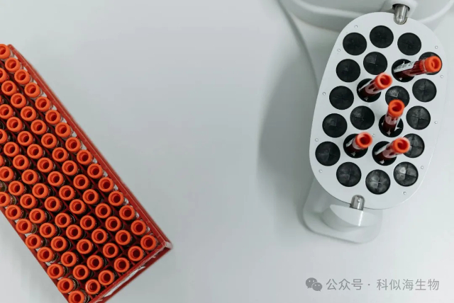 非靶向vs靶向代谢组学:揭秘代谢研究的“撒网捕鱼”与“精准钓鱼”_2.jpg 非靶向vs靶向代谢组学:揭秘代谢研究的“撒网捕鱼”与“精准钓鱼”_2.jpg